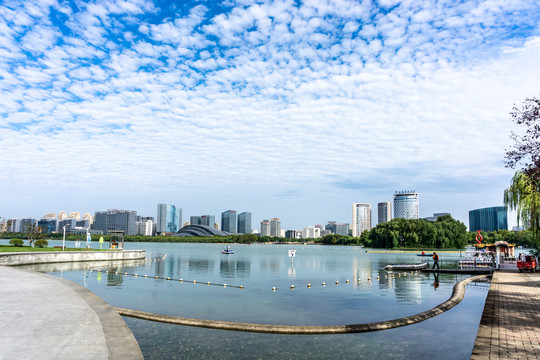 合肥天鹅湖