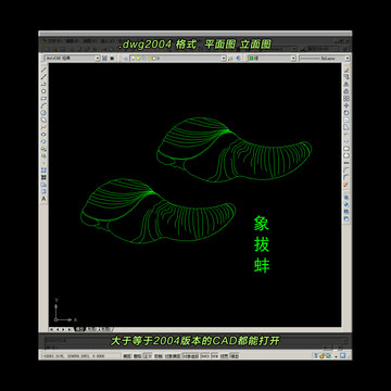 象拔蚌CAD矢量图dwg格式