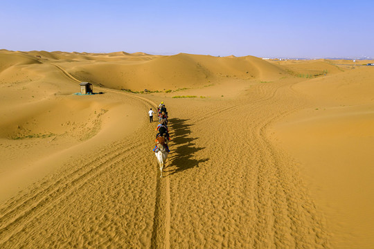 鸟瞰沙漠骆驼队