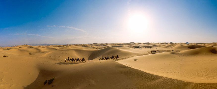 宽幅沙漠骆驼队风光