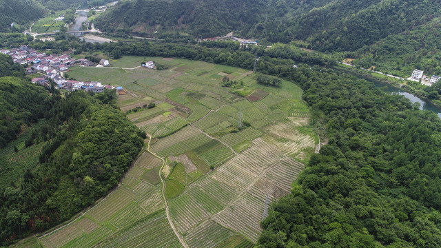 高田畈