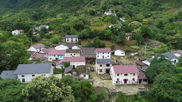 大演乡柏山村