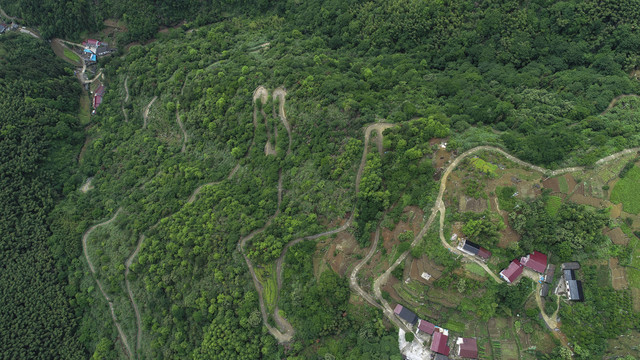 大演乡柏山村