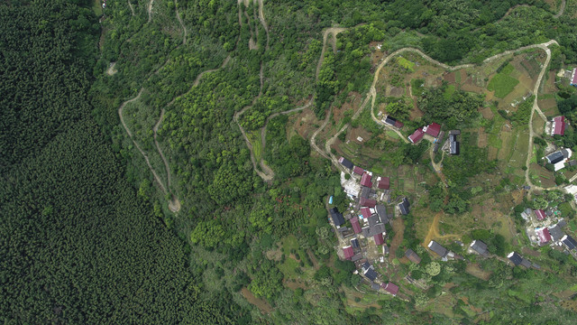 大演高山公路