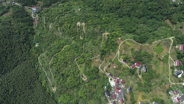 大演高山公路