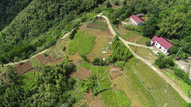 高山村庄