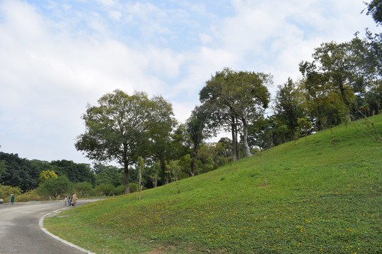 花卉主题公园百花洲景区