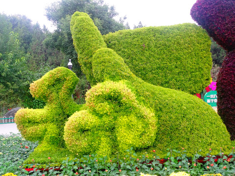 手势绿植造型