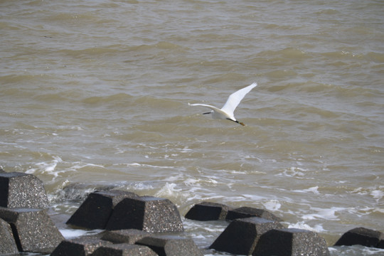 珠海澳门风光与珠海日月贝大剧院