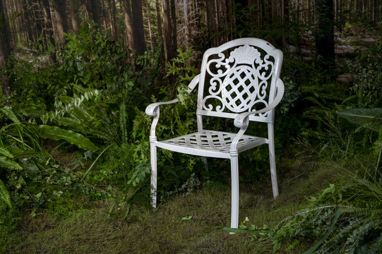 树林里的白色椅子