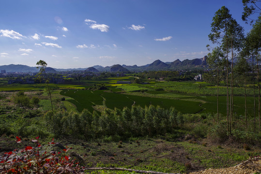 乡村风景田园风光
