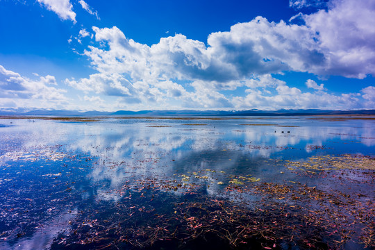 尕海湖