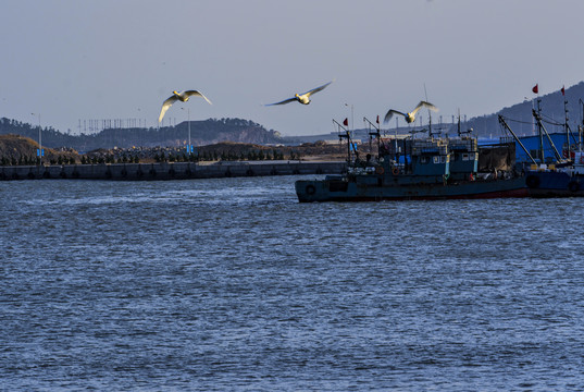 天鹅渔船
