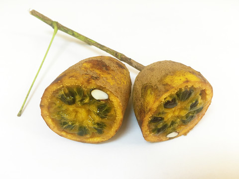 百香果
