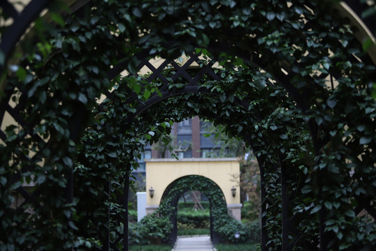 绿植拱门