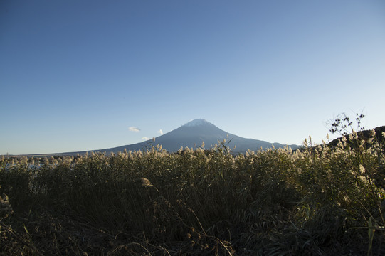 秋天的富士山