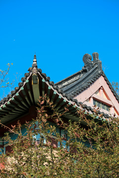 蓝天下的中国传统建筑