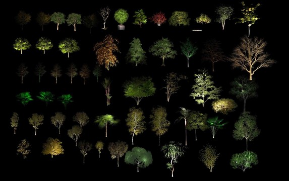 夜景设计树木素材