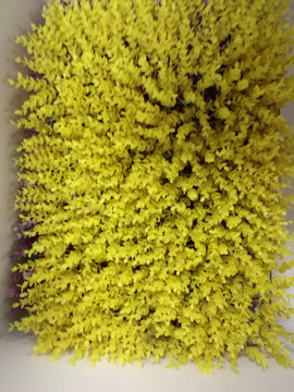 黄色塑料绿植草皮