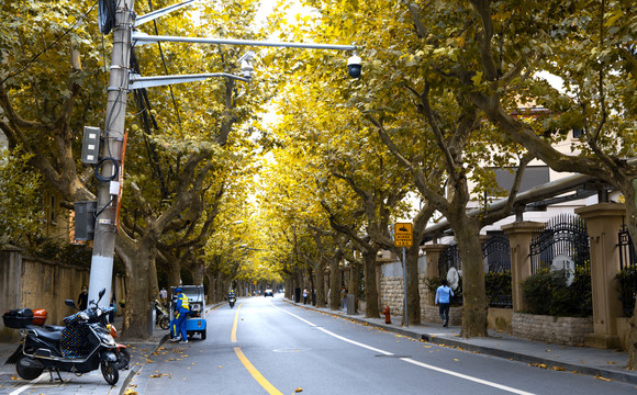 秋天的上海马路
