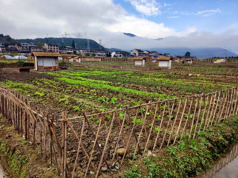 菜地栅栏