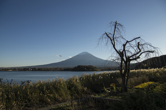 富士山