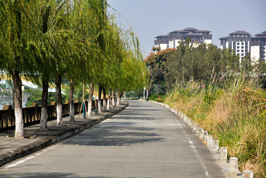 河堤绿道