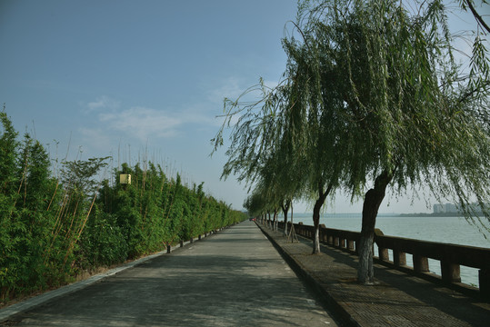 河堤