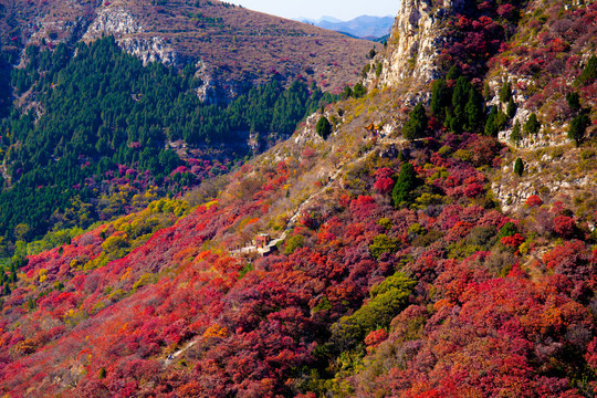 秋天山谷