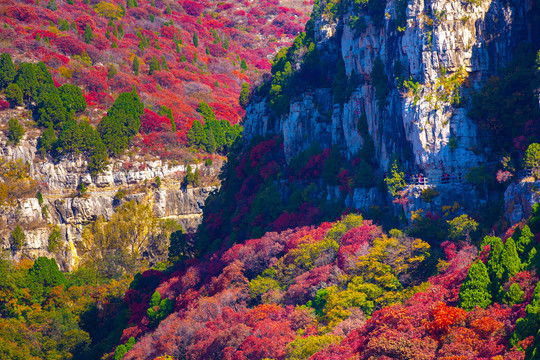 山谷秋景