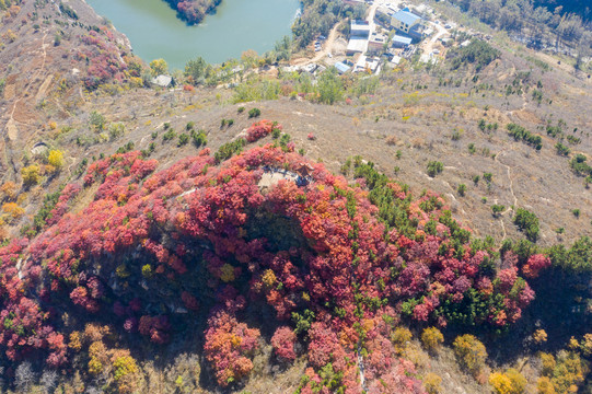 航拍章丘红山翠谷052