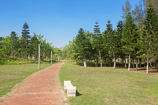 滨海公园步道与绿化