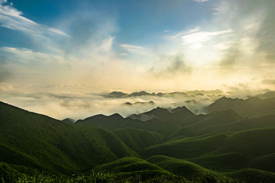 绿峰