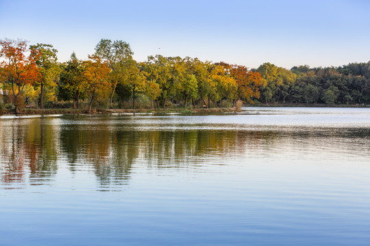 秋日平静的湖面