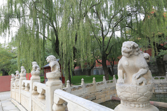 北京故宫断虹桥上的石狮子