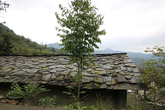 山村中的石板房