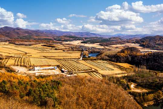 秋色远山农田