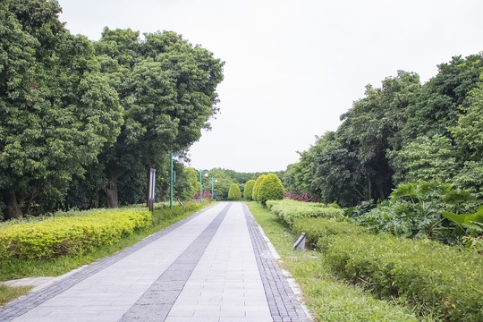 园林小道