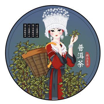 云南普洱茶苗族野山茶包装插画