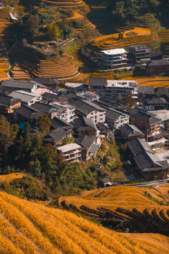 龙胜龙脊梯田