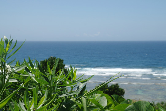 大海背景