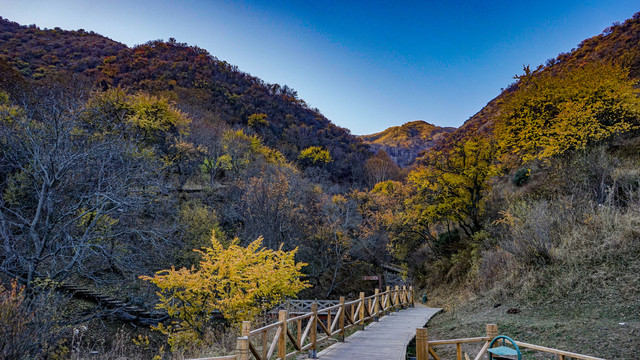 野核桃沟