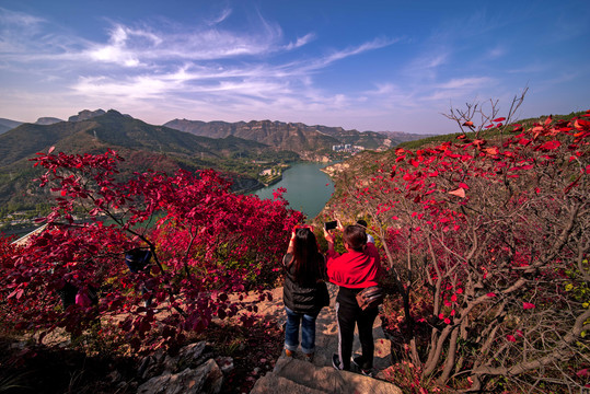 天赐山红叶漫山