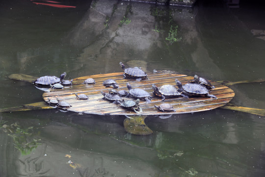 圣水寺