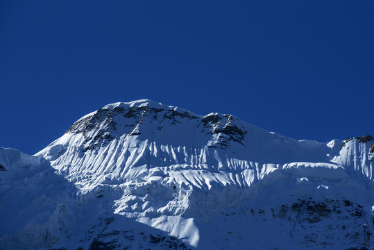 雪山森林树林