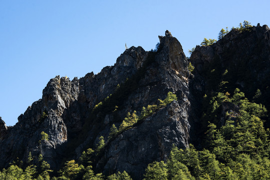 树林森林山崖