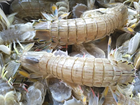 海鲜皮皮虾