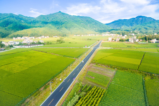 武平四朵金花公路