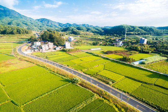 四朵金花公路