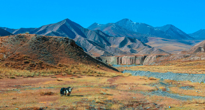 新疆旅游风景